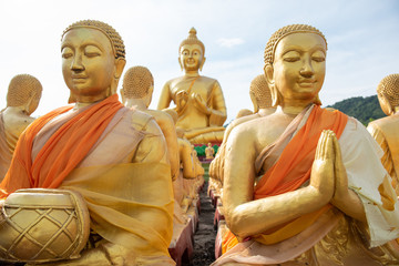 Many golden buddha statue