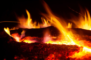 flame of a fire burning in the dark night and the burning coals that give warmth to the hearth in the wild