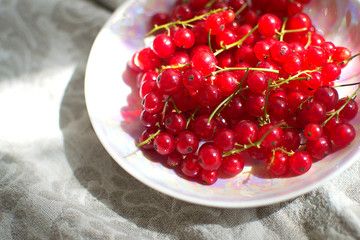 summer redcurrant (Ribes rubrum). Fresh red currant in a plate on a light background in the sunlight.