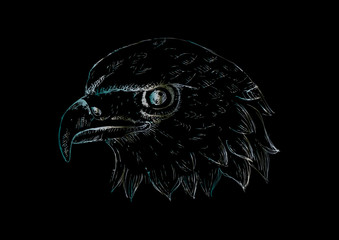 Eagle head logo Template. Hand draw illustration.