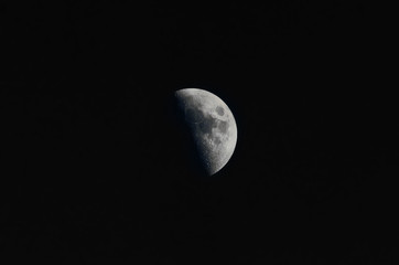 Fototapeta premium Half moon