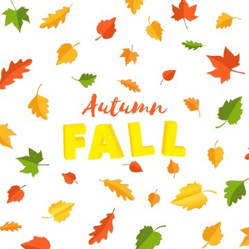 Autumnfall Images – Browse 55 Stock Photos, Vectors, and Video | Adobe