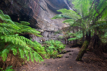 The ferns and canyon walls at the Lithgow Glowworm tunnel in the Blue Mountains New South Wales Australia on 14th June 2018