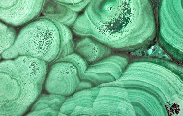 Obraz premium green malachite texture close-up