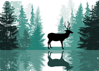 deer silhouette in fir forest with reflection