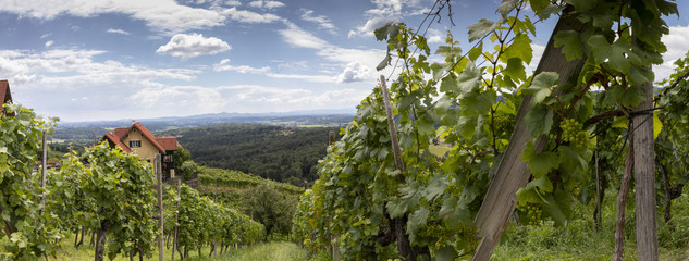 panorama old wine growing area named Schilcherstrasse near Stainz in Styria, Austria