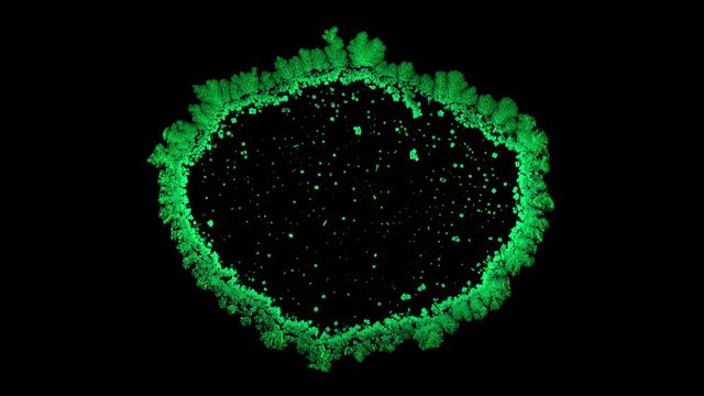 Drop drying with crystals growth. Time lapse of crystallization process under microscope. Separated on pure black background, contains alpha channel.