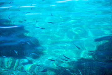 Fototapeta premium Skin care procedure fish peeling