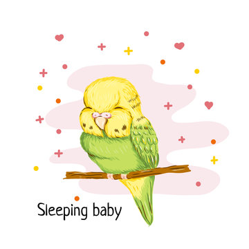 Sleeping baby parrot illustration for poster, printing of textiles or pajama, web site, bedroom wallpaper. For pet shop, exhibition, event for children