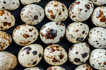 Obraz premium A lot of fresh quail eggs on black background. Eco-friendly farm product
