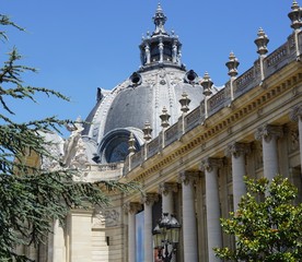 Le dôme du Petit Palais