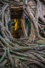 Buddha statue through the tree window