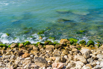 Layers of teal ocean, green algae and tan rocks