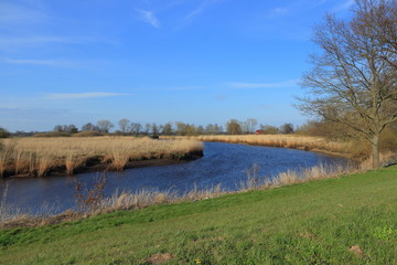 On the river.