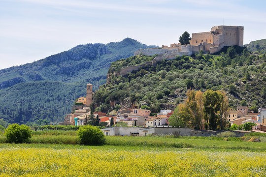 Miravet village and castle with a field of colorful wild flowers in Catalonia
