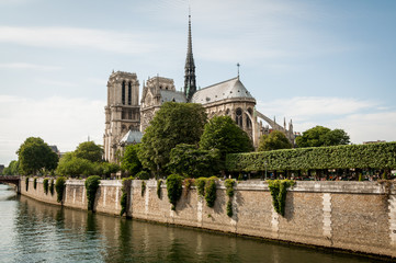 Fototapeta na wymiar Notre Dame de Paris in the summer