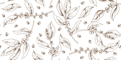 Botanical seamless pattern with coffee branches and beans  