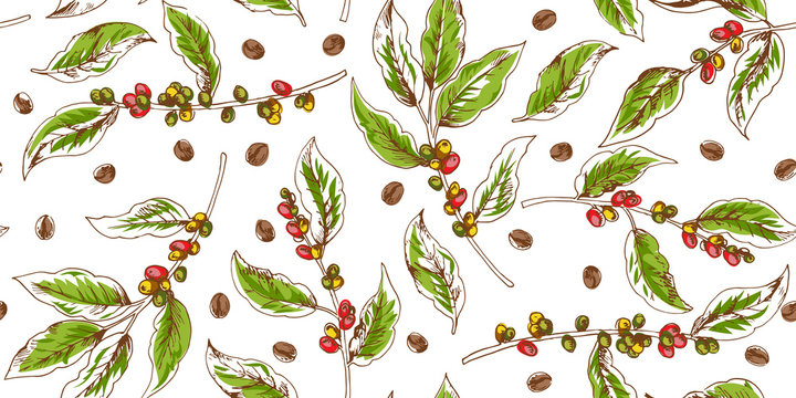 Botanical Seamless Pattern With Coffee Branches And Beans
