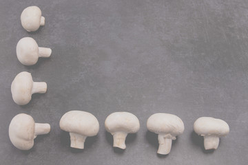 Mushrooms champignons lie on a gray stone background, space for text