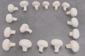 Mushrooms champignons lie on a gray stone background, space for text