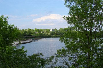 A view of the lake in the park though the tree branches.