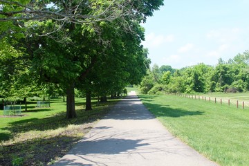 The walkway in the park under the spring trees.