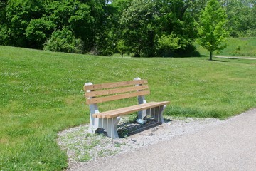 The empty wood park bench on the parks walkway.