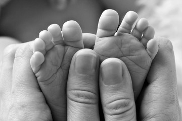 Fototapeta premium baby feet close up in white and balck colours