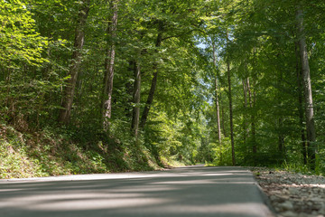 Obraz premium Strasse im grünen Wald im Sommer
