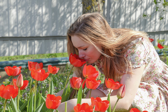 Girl sniffing tulips. The girl among the flowers