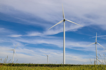 A wind farm in a field in the countryside