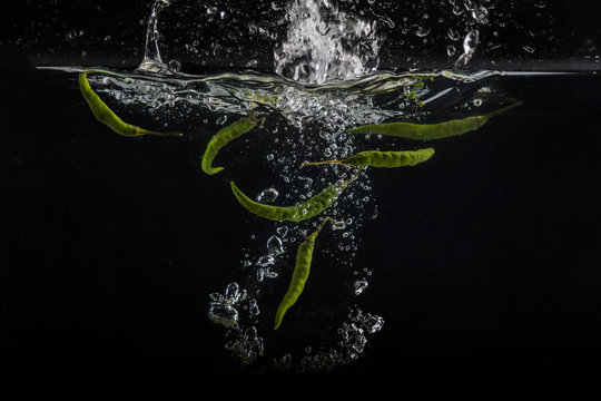 Green fresh chillies with water splash