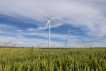 A wind farm in a field in the countryside
