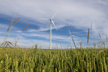A wind farm in a field in the countryside