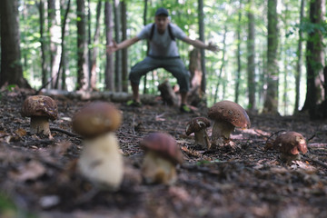 Man collect mushrooms in summer forest