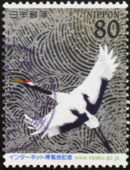 Japanese crane on postage stamp
