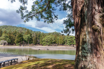 毛越寺 浄土庭園