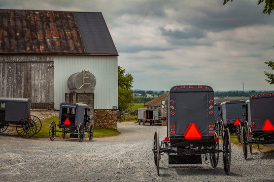 Assorted Amish Buggies At Barn