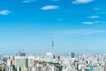 Fototapeta premium 東京風景