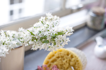 A bouquet of white spring flowers by the window, a place for text