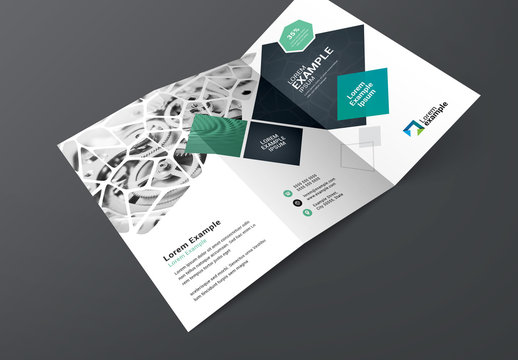 Blue Trifold Brochure Layout with Organic and Geometric Shapes