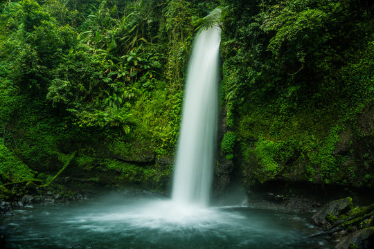Waterfall in Tropical Rain Forest Jungle, Curug Sawer Situgunung Indonesia