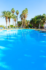 Obraz na płótnie Canvas blue tiled pool with sun beams and palm trees