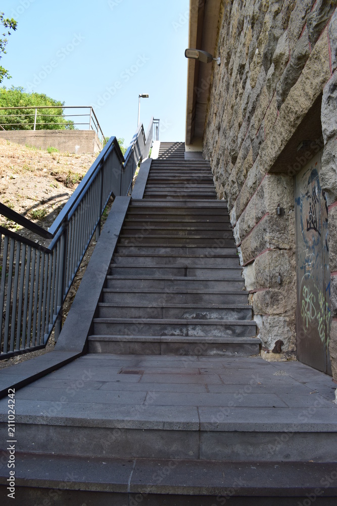 Wall mural treppe unter der moseltalbrücke