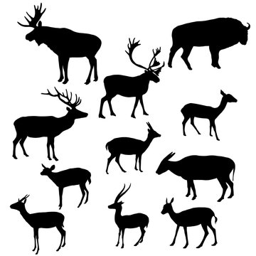 vector silhouettes of horned animals