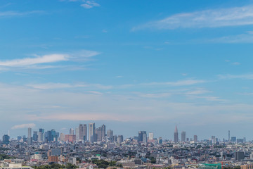 Fototapeta na wymiar 東京都全景　panoramic view of the capital Tokyo