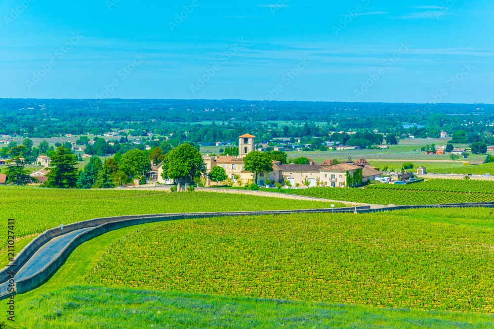 Wall mural Vineyards at Saint Emilion, France