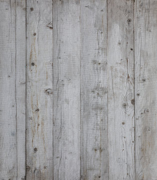 white vertical boards, wooden background, birch texture