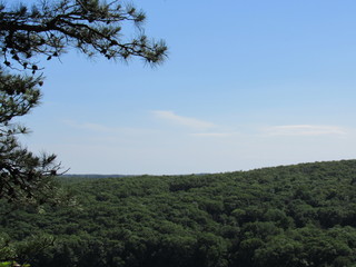 Obraz premium View over the forest from the Lantern Hill hiking trail in Connecticut 