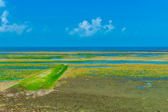 Countryside Of Ile De Re In France